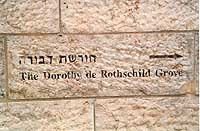 New Israel Supreme Court Building, Freemasons, Freemasonry, Freemason