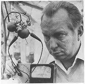 L. Ron Hubbard using his 'e-meter' on some cherry tomatoes