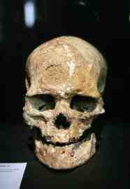 a prehistoric skull, freemasons, freemasonry